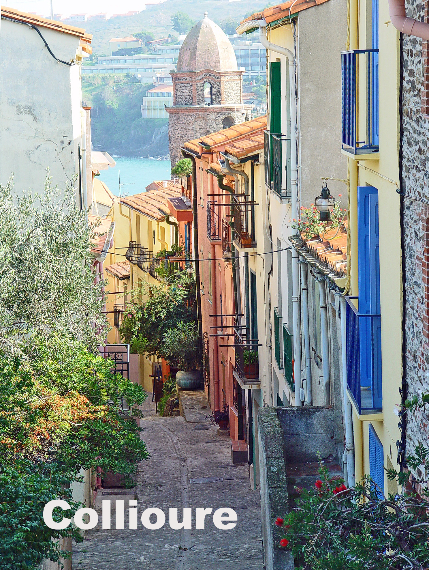 Collioure